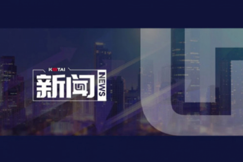 AI驱动新增长，扣非净利提升10%，BB贝博艾弗森数码2025一季度稳健开局